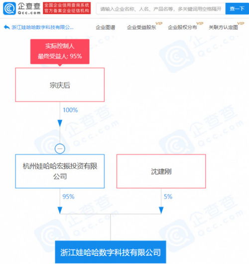 计算机技术服务 驱动数字化时代的核心力量